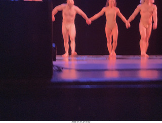 cat Potato in a cabinet with cat Pickle