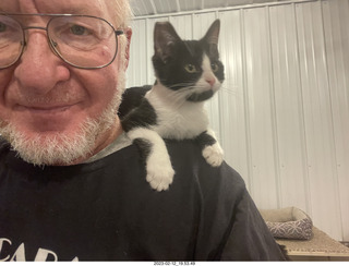 cat Miss Pris in Halo rescue center + Adam