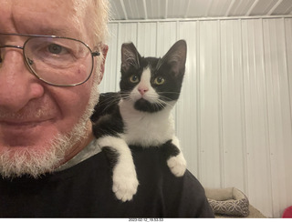 cat Miss Pris in Halo rescue center + Adam