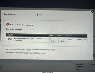4 a1s. airline web page for later flights