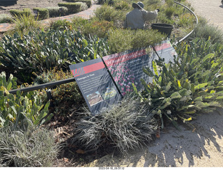 23 a1s. Astro Trails - Perth tour - Australian Botanical Garden