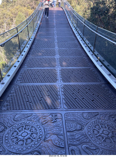 68 a1s. Astro Trails - Perth tour - Australian Botanical Garden - aerial walkway
