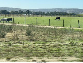 59 a1s. Astro Trails - wine-tasting tour - vineyard store - cows