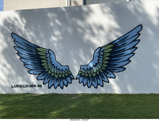 21 a1s. Astro Trails - Australia - Lancelin - wings