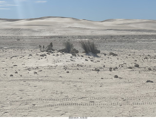 38 a1s. Astro Trails - Australia - sand dunes