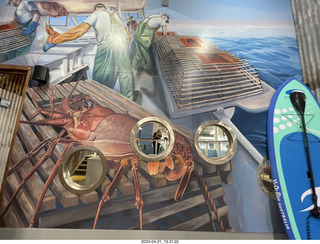 114 a1s. Astro Trails - Australia - lobsters tour