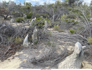 127 a1s. Astro Trails - Australia - Pinnacle park