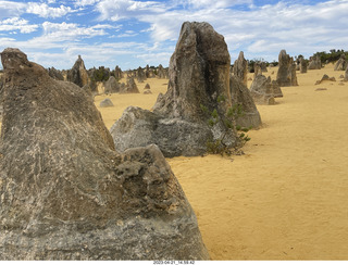 138 a1s. Astro Trails - Australia - Pinnacle park