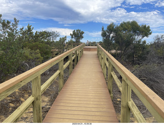 173 a1s. Astro Trails - Australia - Pinnacle park