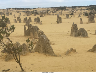 183 a1s. Astro Trails - Australia - Pinnacle park