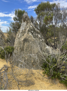 199 a1s. Astro Trails - Australia - Pinnacle park