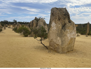 210 a1s. Astro Trails - Australia - Pinnacle park