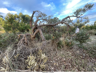 249 a1s. Astro Trails - Australia - rest stop