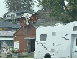 37 a1s. New Zealand driving to thermal hot springs near Rotorua