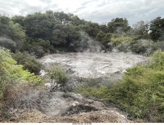 101 a1s. New Zealand - Thermal Hot Springs - Te Puia - mud pit