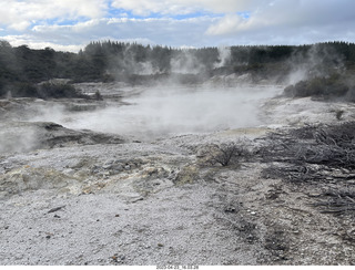 247 a1s. New Zealand - Hell's Gate - mud and thermal walk