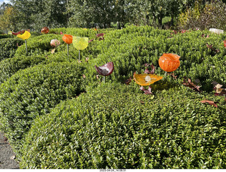 162 a1s. New Zealand - Lava Glass