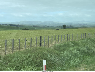 36 a1s. New Zealand - driving