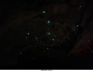 122 a1s. New Zealand - Spellbound Glowworm & Cave Tours - cave + glowworms