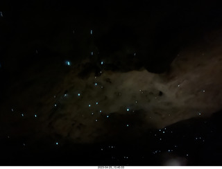 123 a1s. New Zealand - Spellbound Glowworm & Cave Tours - cave + glowworms