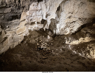 166 a1s. New Zealand - Spellbound Glowworm & Cave Tours - cave