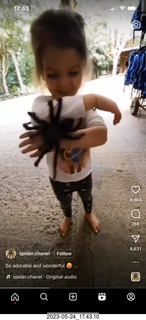 EAA 1217 - Pegasus Airport - Pitts museum