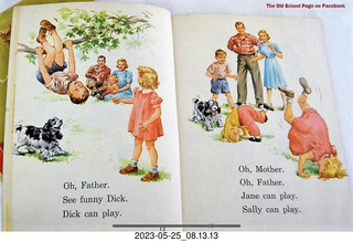 my cat Jane on my middle-room table with floral arrangement