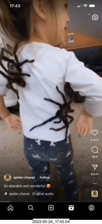 Facebook - big spiders