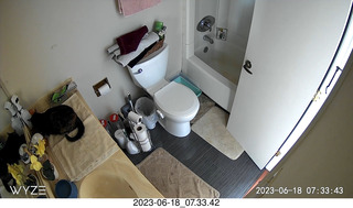 my cat Miss Pris in her bathroom space