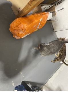 Facebook - big spider