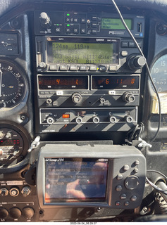 cat Pickle drinking from the faucet
