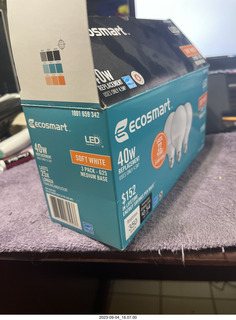 aftermath of Jane and Miss Pris  fighting