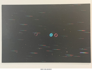 Princeton University - Bobfest - Coke in a Princeton cup