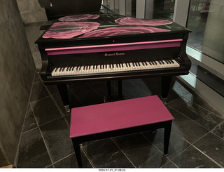 cats Potato and Pickle