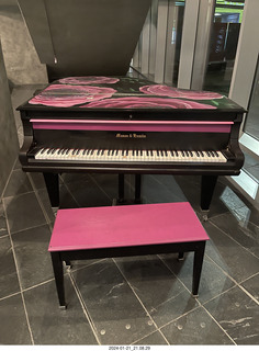 cats Potato and Pickle