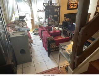 my new cat Scruffles and my cat Devin