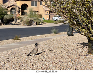 Dead Horse Point - pick-up truck window seal