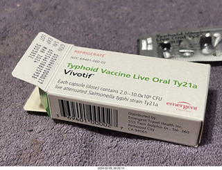 Scottsdale Arts parking - pigeon