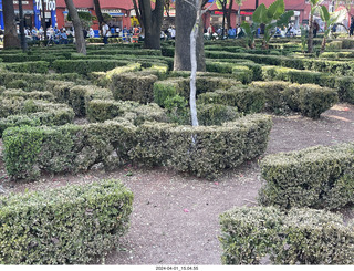 93 a24. Mexico City - Coyoacan