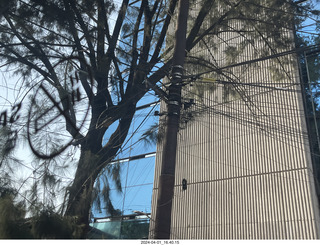 118 a24. Mexico City - Coyoacan