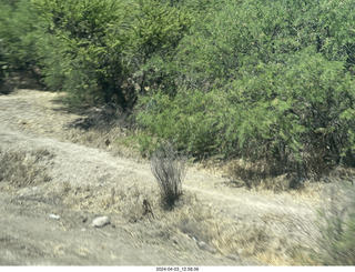 16 a24. drive to San Miguel de Allende