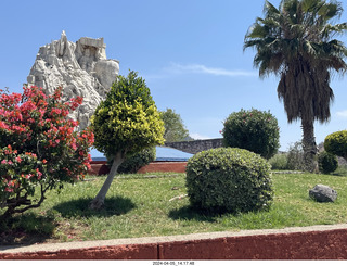 173 a24. Guanajuato - plants