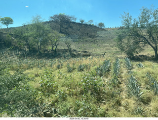 26 a24. Jose Cuerto train to Tequlia