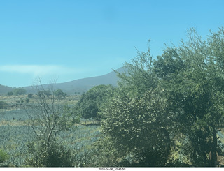 32 a24. Jose Cuerto train to Tequlia