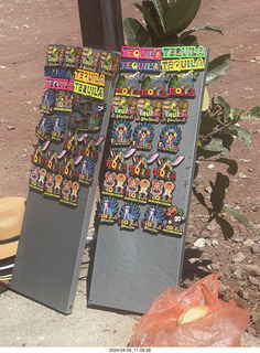 40 a24. town of Tequila