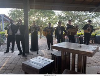 228 a24. harvesting stop - musicians