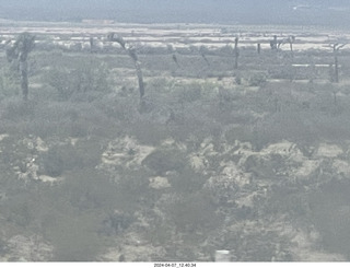 18 a24. long drive to Torreon - weird plants