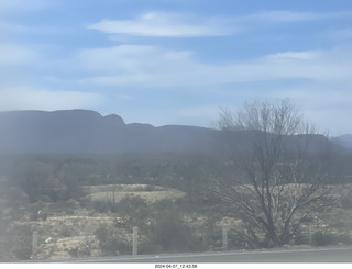 22 a24. long drive to Torreon - weird plants