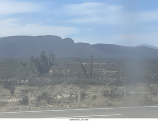 23 a24. long drive to Torreon - weird plants