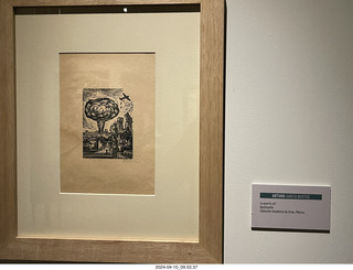 60 a24. Mexico City - Museum of Anthropology